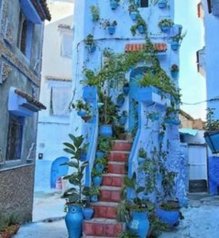 Casa Dreams Chaouen Apartment Chefchaouen Exterior photo