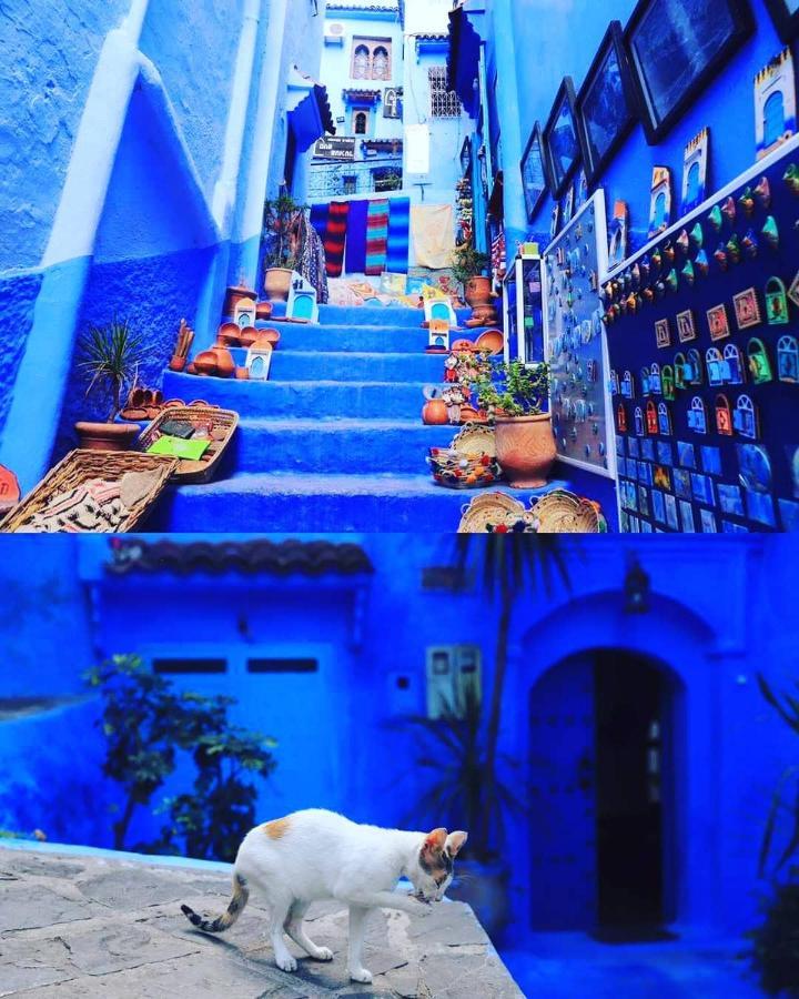 Casa Dreams Chaouen Apartment Chefchaouen Exterior photo